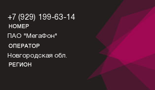 9291996314